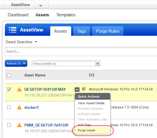 Purge Asset quick action.