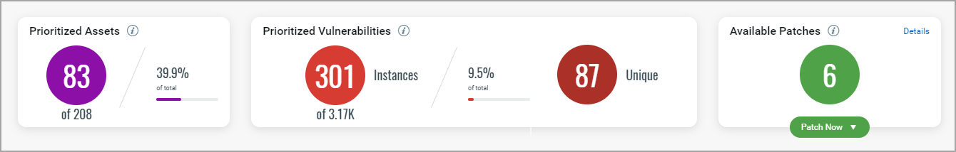 Summary of the VMDR prioritization report