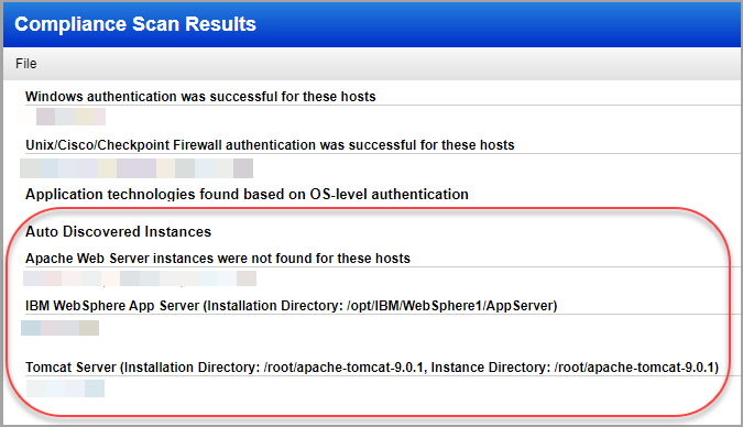appendix section of scan results showing auto discovered instances